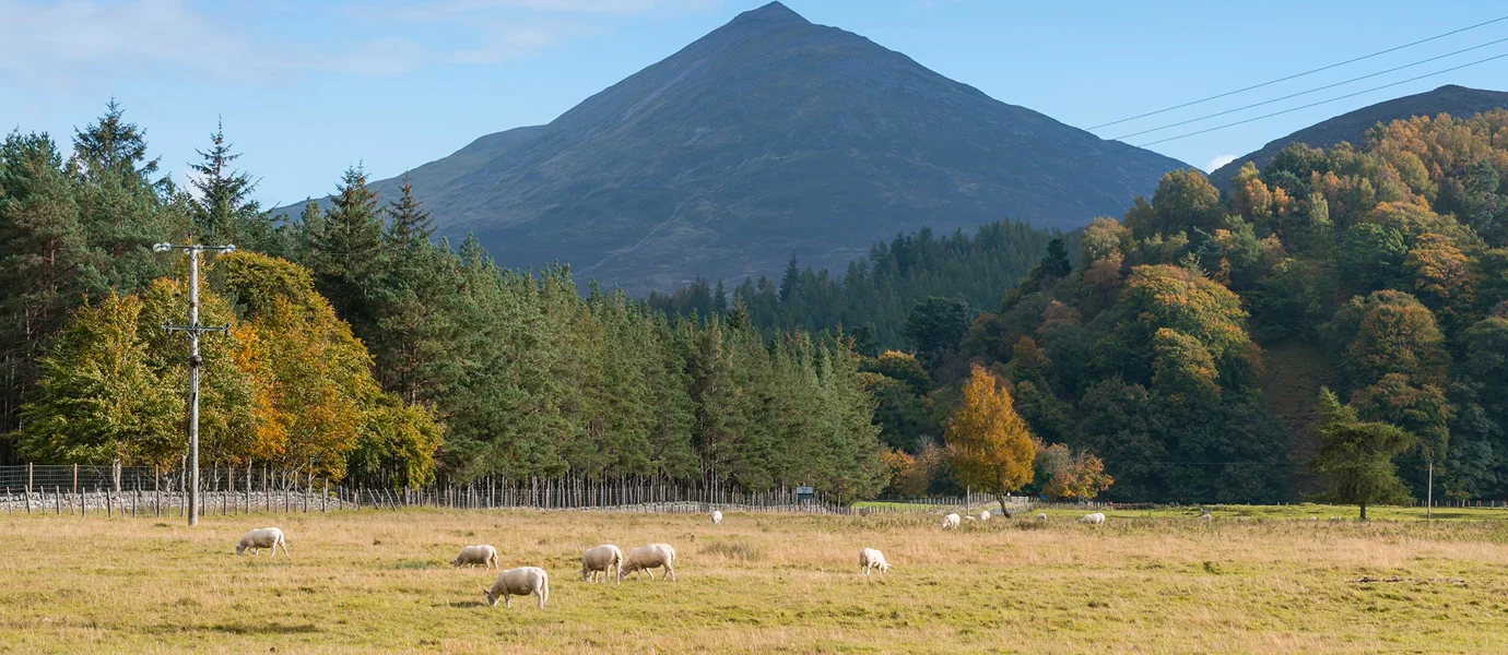 Hill and fields near Pitlcohry