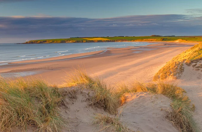 Lunan Bay Montrose