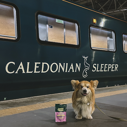 marcel at Glasgow Central