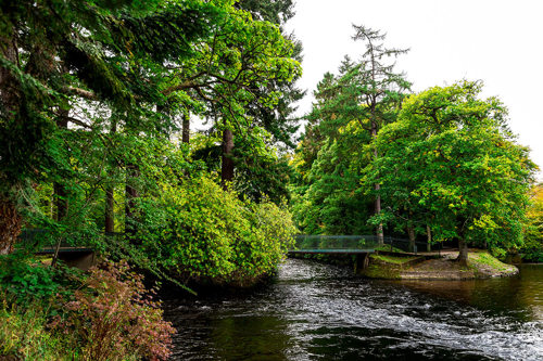 Ness Islands, Inverness