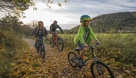 Children with an adult cycling through Deeside Country Park in the Autumn.