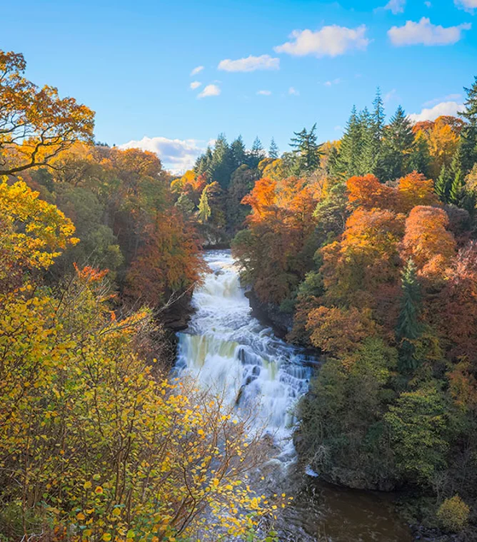 Carstairs, Clyde Valley