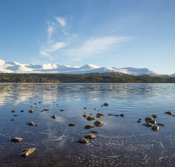 Loch Morlich