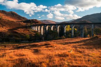 Picture of Culloden viaduct