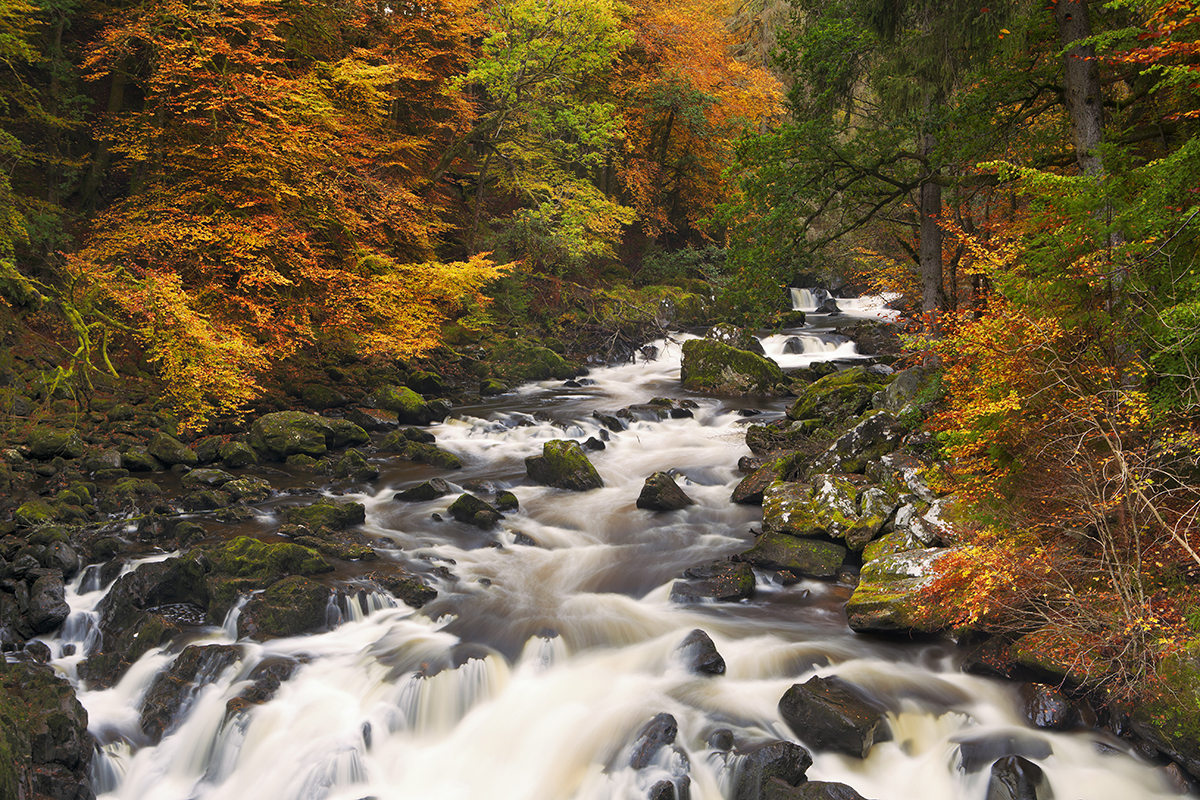 5 Scottish Autumn Walks